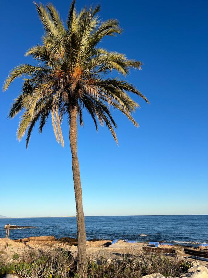 Appartement Rocasol - Marina Real Ii *